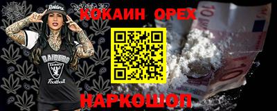 гашик Славгород