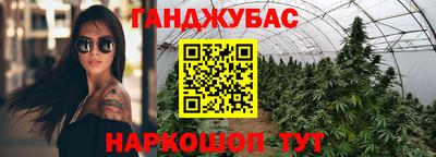 гашик Славгород