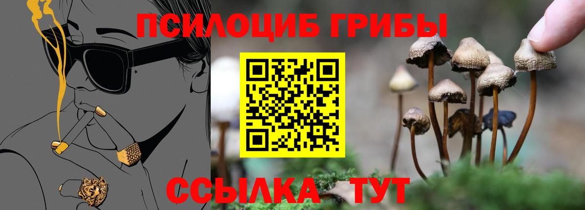 Наро-Фоминск  Псилоцибиновые грибы ЛСД  Вход с VPN 